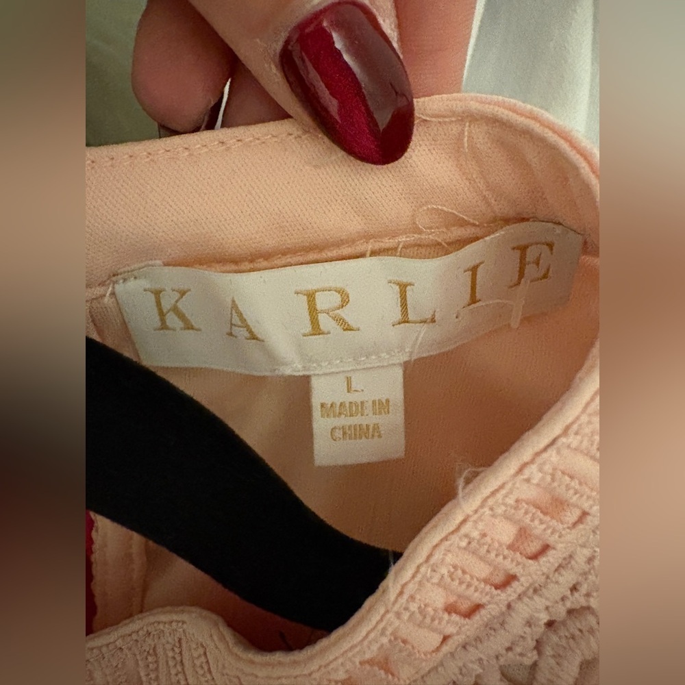 Karlie Blush Pink Lace Mini Dress NWT - Picture 7 of 9